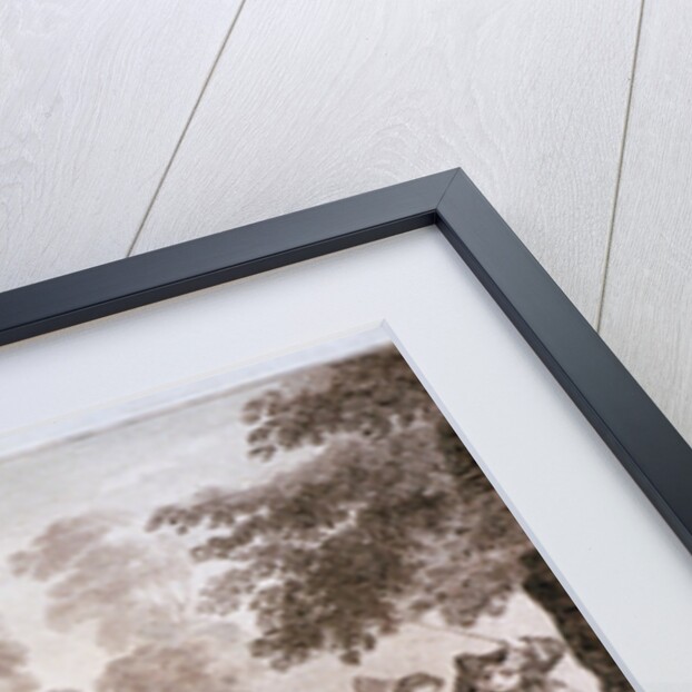 St James's Park, Westminster, London by Anonymous