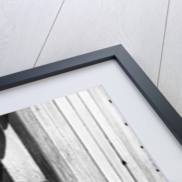 Bargee children, London by Anonymous