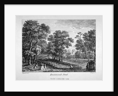 Rosamond's Pond, St James's Park, Westminster, London by M Merigot