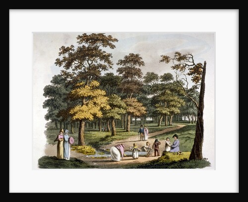 View of the 'dipping' well in Hyde Park, Westminster, London by William Pickett