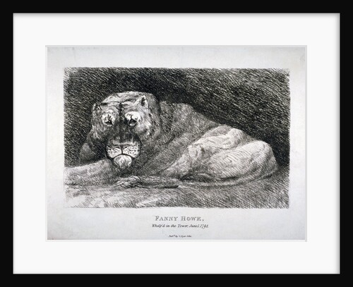 Fanny Howe, whelp'd in the Tower by Anonymous