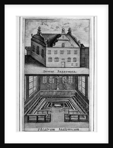 View of exterior of building and anatomical theatre inside by Anonymous