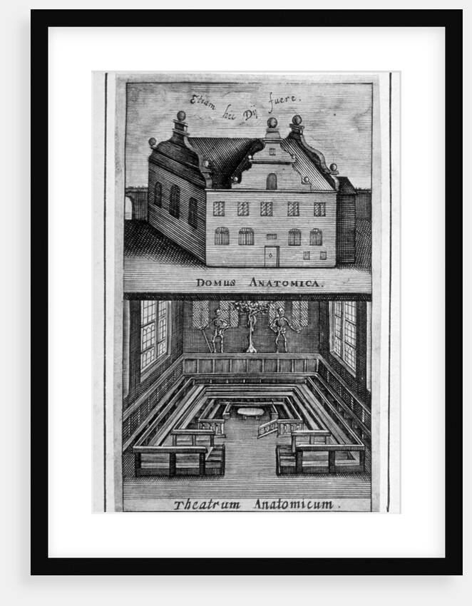 View of exterior of building and anatomical theatre inside by Anonymous