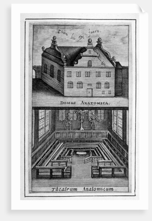 View of exterior of building and anatomical theatre inside by Anonymous