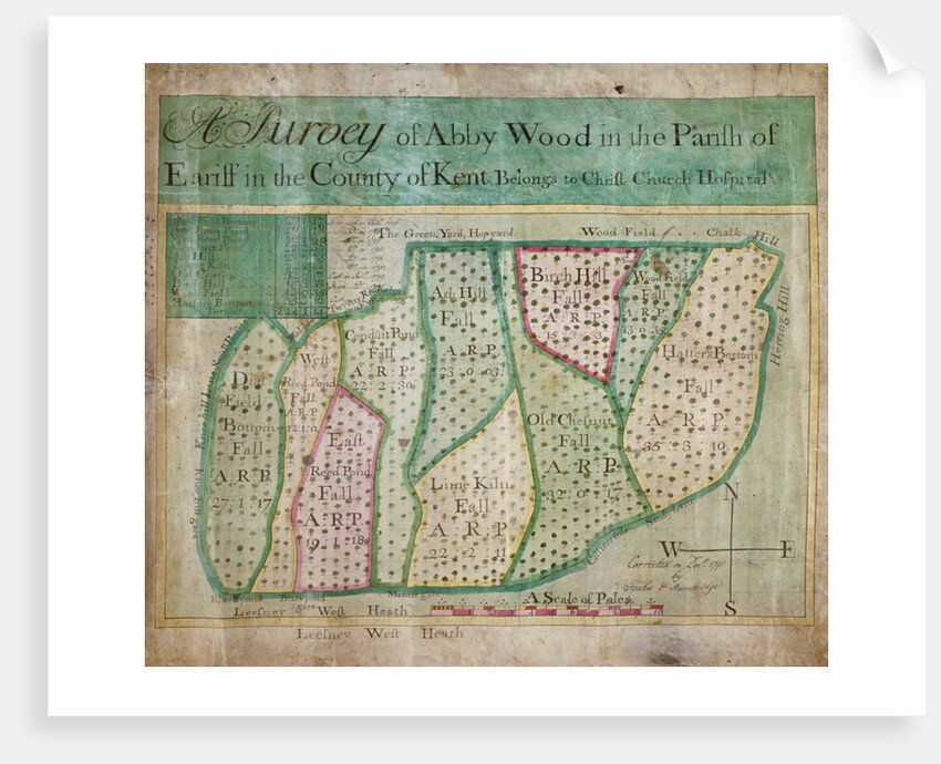 Map of Abbey Wood, part of Erith or Lesnes Manor on the eastern boundary of Woolwich, Kent by Anonymous