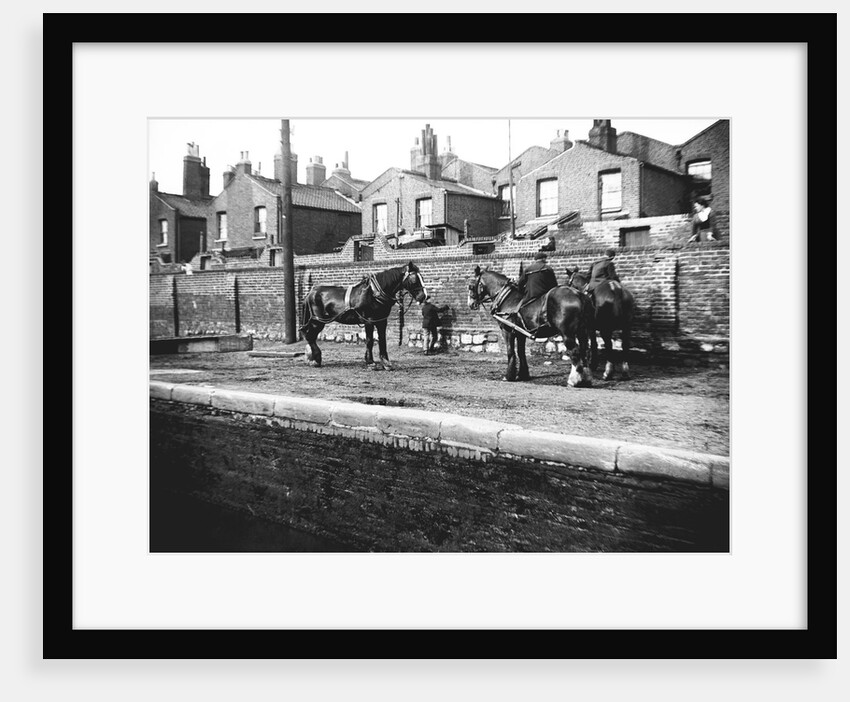 Horses used for towing resting by the side of a canal, London by Anonymous