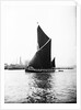 Topsail barge under sail on the Thames, London by Anonymous