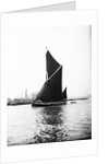 Topsail barge under sail on the Thames, London by Anonymous