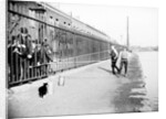 Boys fishing across a canal towpath, London by Anonymous