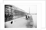 Boys fishing across a canal towpath, London by Anonymous