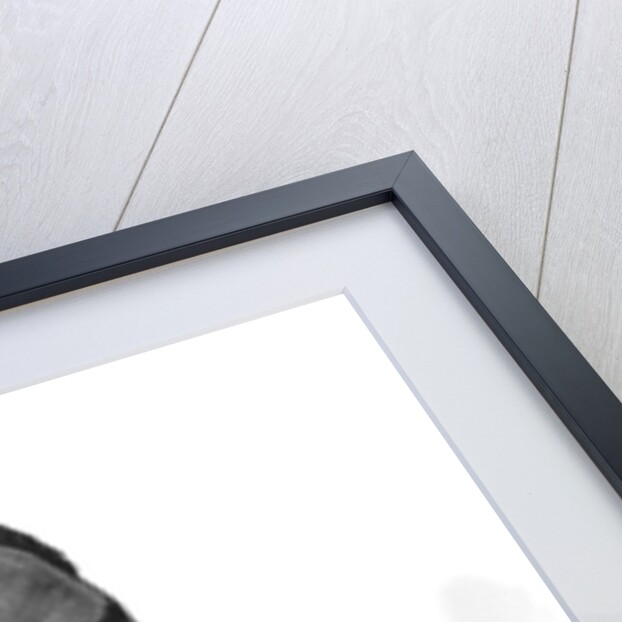 Louis 'Satchmo' Armstrong, American jazz trumpeter and singer by Unknown