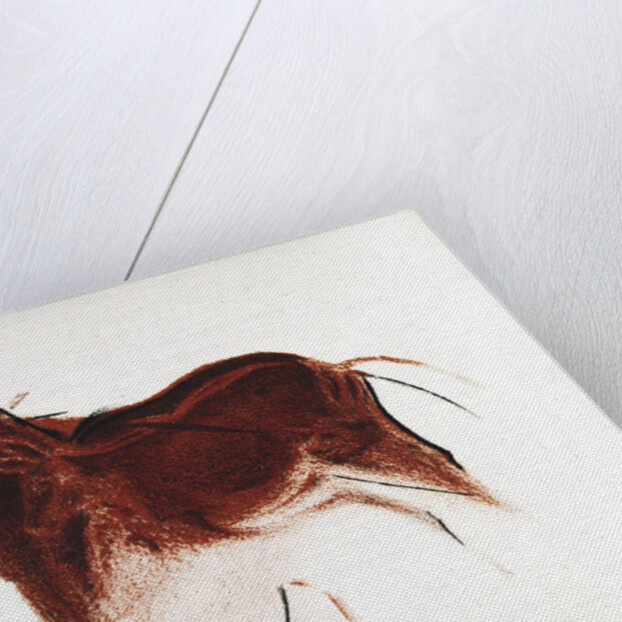 Horse and Hind, Palaeolithic cave painting from Altamira, southern Spain, c16,000-c9000 BC by Unknown