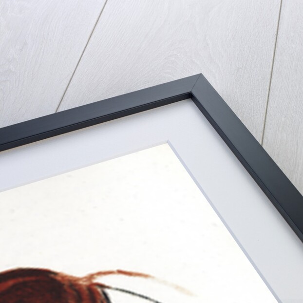 Horse and Hind, Palaeolithic cave painting from Altamira, southern Spain, c16,000-c9000 BC by Unknown