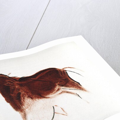 Horse and Hind, Palaeolithic cave painting from Altamira, southern Spain, c16,000-c9000 BC by Unknown