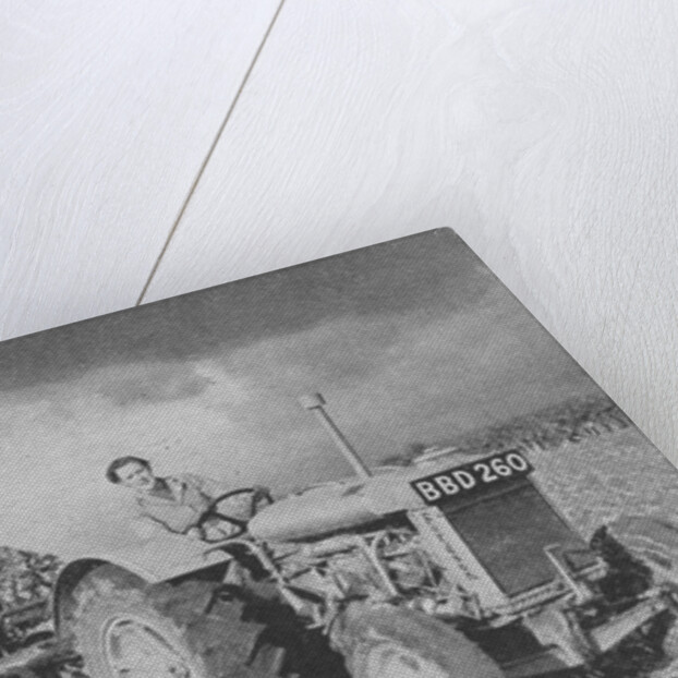 Women's Land Army lifting a crop, World War II, 1940 by Unknown