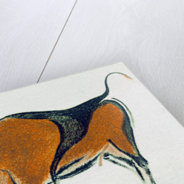 Bison, copy of a Palaeolithic cave painting at Altamira, northern Spain, 1913 by Unknown