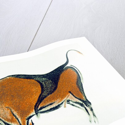 Bison, copy of a Palaeolithic cave painting at Altamira, northern Spain, 1913 by Unknown
