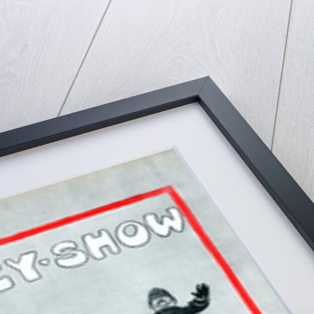 Lady in 'Rational' cycling dress, 1897 by Unknown