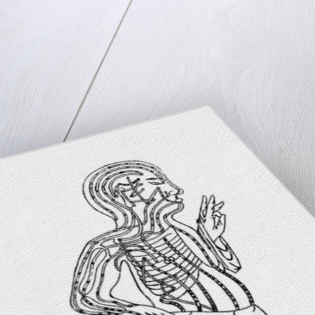 Acupuncture chart, 19th century by Unknown