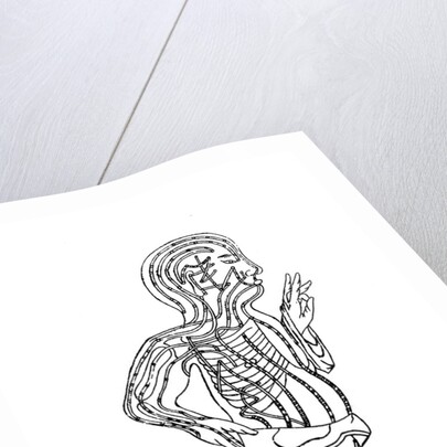 Acupuncture chart, 19th century by Unknown