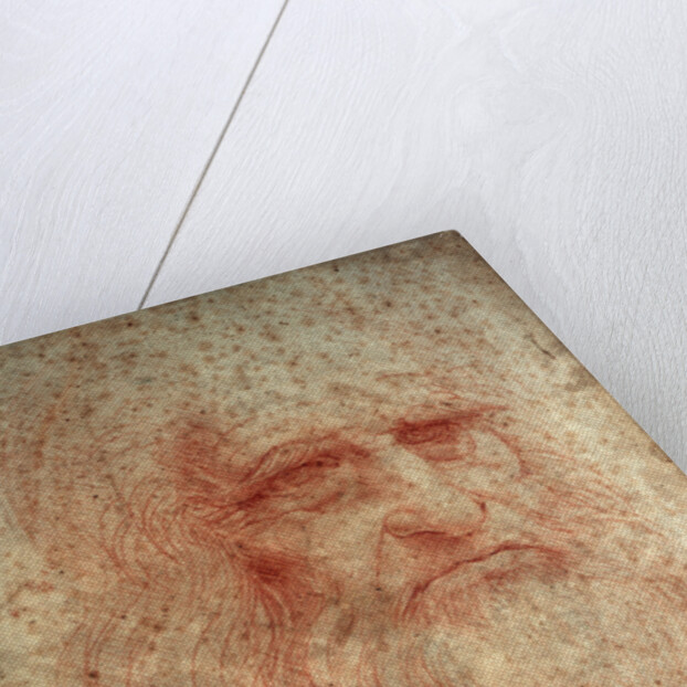 Self portrait of Leonardo da Vinci, Italian painter, sculptor, engineer and architect, c1513 by Leonardo da Vinci