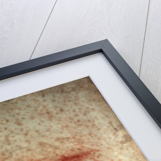 Self portrait of Leonardo da Vinci, Italian painter, sculptor, engineer and architect, c1513 by Leonardo da Vinci