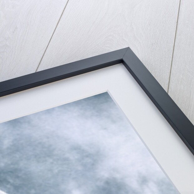 Aerial combat on the Western Front, World War I, 1914-1918 by Unknown