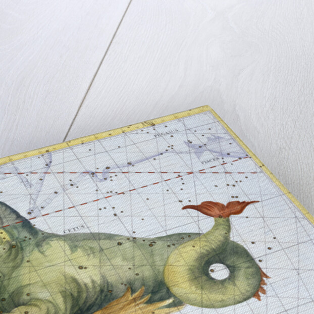 Constellation of Cetus (the Whale), 1729 by Unknown