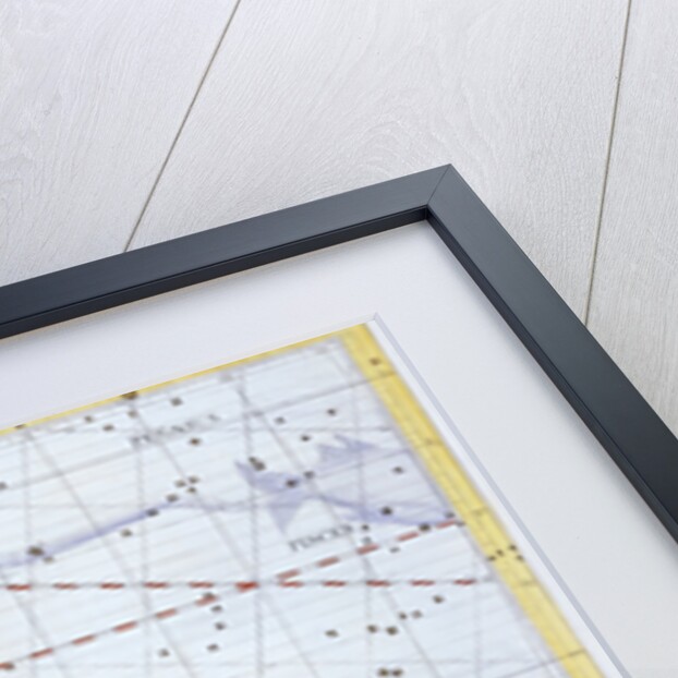 Constellation of Cetus (the Whale), 1729 by Unknown