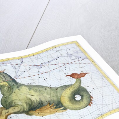 Constellation of Cetus (the Whale), 1729 by Unknown