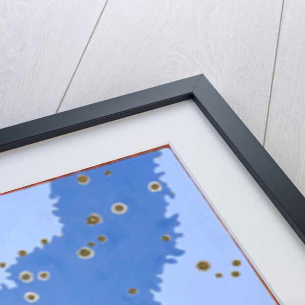 Constellation of Auriga, 1603 by Alexander Mair