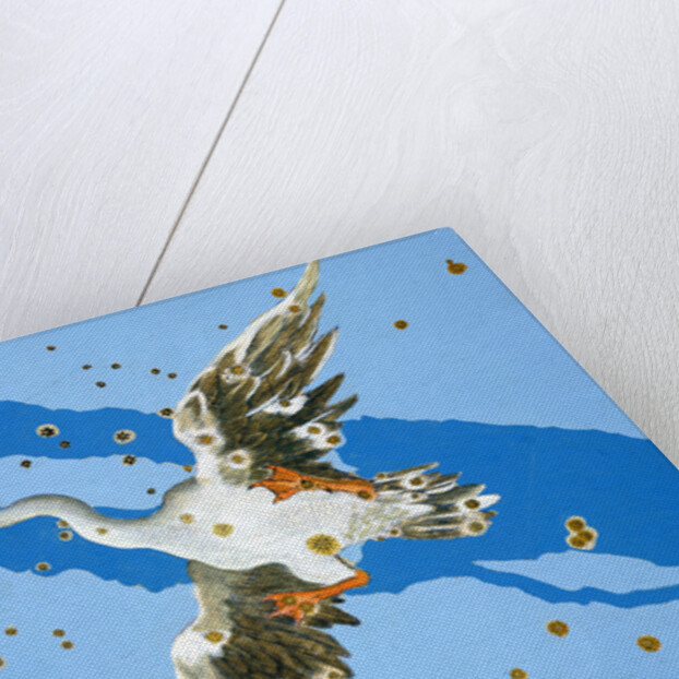 Constellation of Pisces, 1603 by Alexander Mair