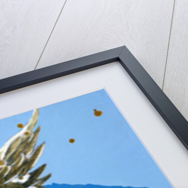 Constellation of Pisces, 1603 by Alexander Mair