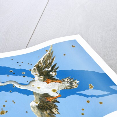 Constellation of Pisces, 1603 by Alexander Mair