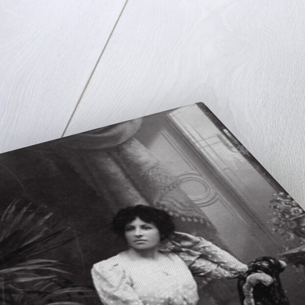 Portrait of Antonina Dronk, c1900-c1908 by Unknown