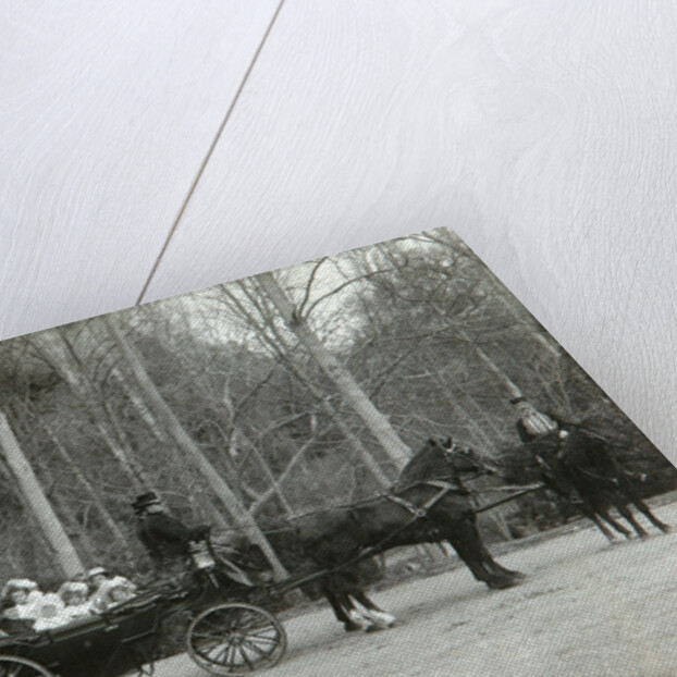 Tsar Nicholas II of Russia with his family in the park of Tsarskoye Selo, Russia, 1900s. by K von Hahn