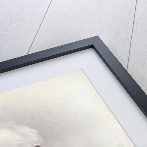 Alexander Siloti, Russian pianist and conductor, and Peter Tchaikovsky, Russian composer, 1888 by Unknown