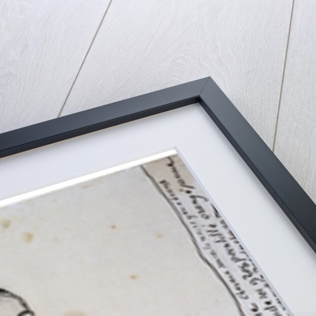 Portrait of a young Lady (La Mousmé), 1888. by Vincent van Gogh