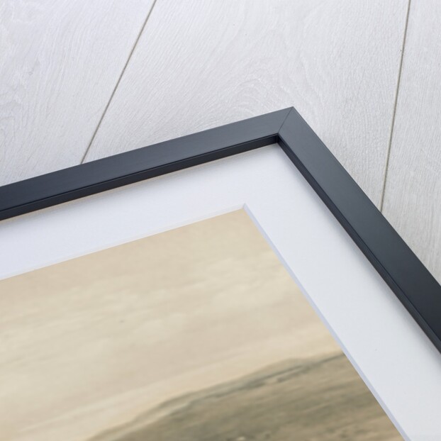 The Charge of the Light Brigade at the Battle of Balaclava, 25 October 1854, 19th century by William Simpson