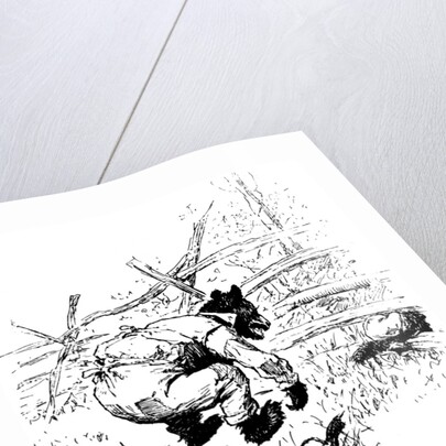 Illustration from the book The Complete Tales of Uncle Remus, by Joel Chandler Harris, 1895. by AB Frost