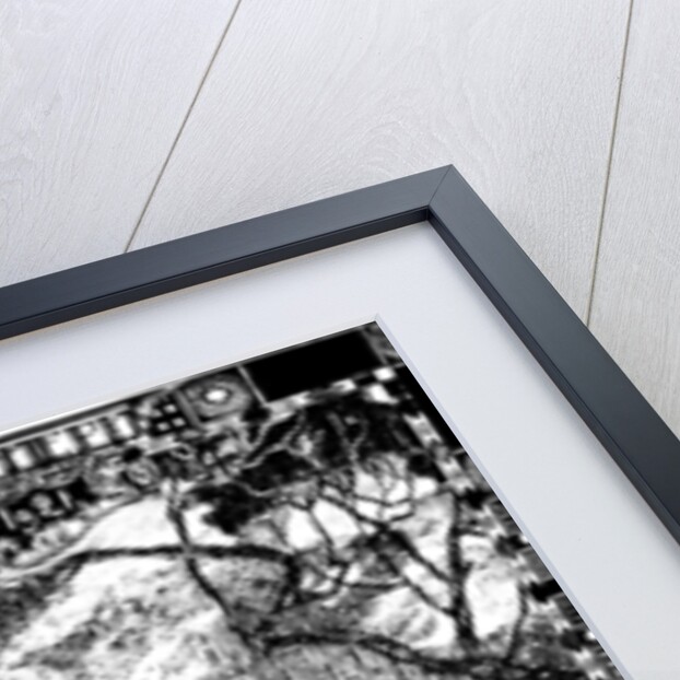 Dante Alighieri, medieval Italian poet, 1921. by Aleksandr Golovin