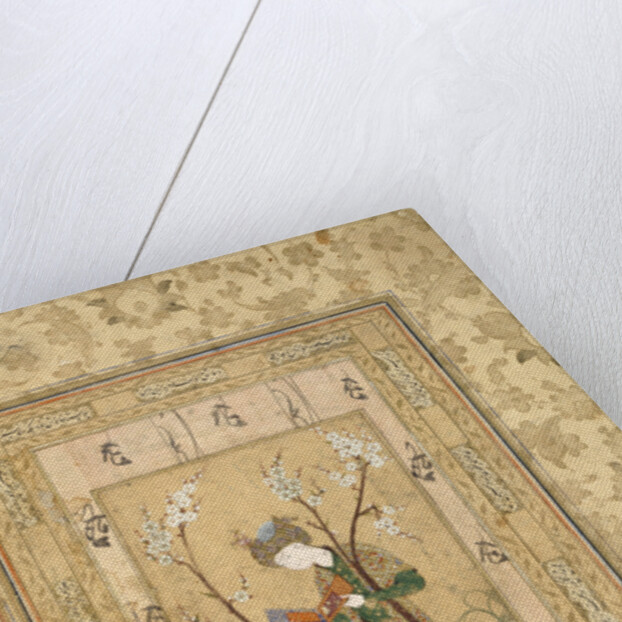 Youth Seated in the Fork of a Blossoming Tree, 1560s by Unknown