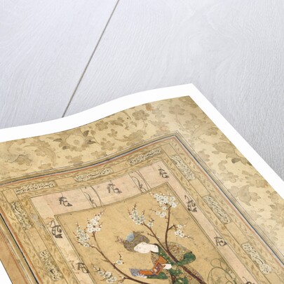 Youth Seated in the Fork of a Blossoming Tree, 1560s by Unknown