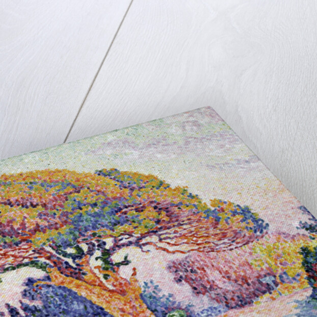 Le Pin de Bertaud at Saint-Tropez, 1909. by Paul Signac