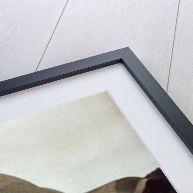 First Goetheanum, front (south) view, Dornach, Switzerland, 1922 by Unknown