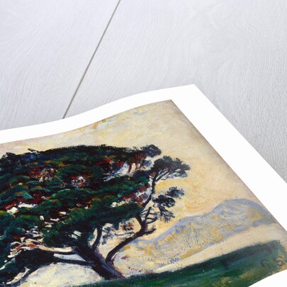 Large Pine, Saint-Tropez, 1892-1893. by Paul Signac