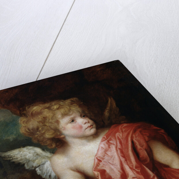 Cupid, early 17th century by Anthony van Dyck