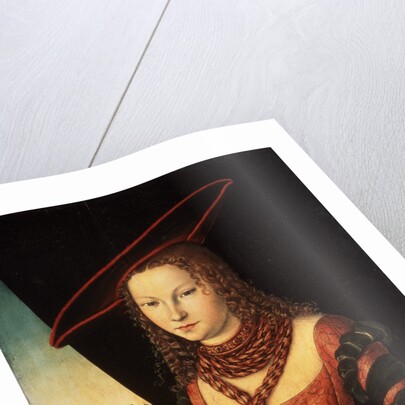 Female portrait, 1526 by Anonymous