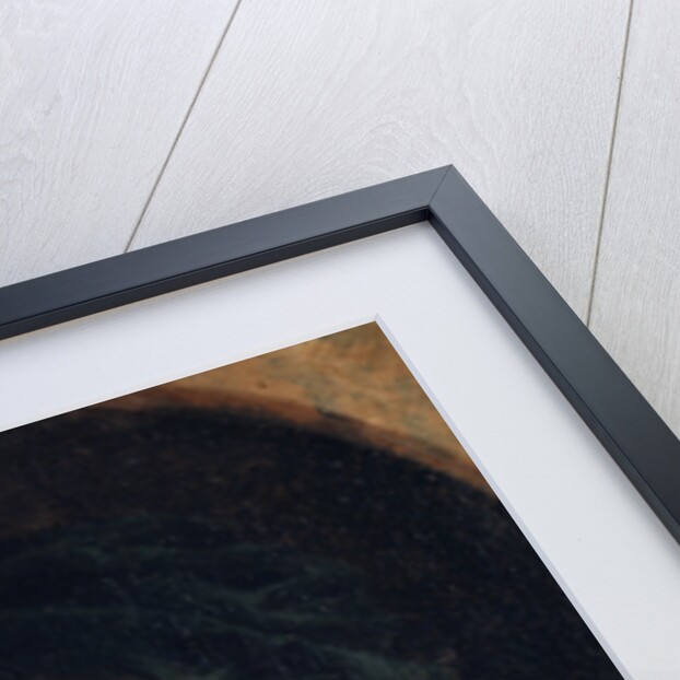 Portrait of the Mathematican Leonhard Euler,, German painting of 18th century by Joseph Friedrich August Darbes