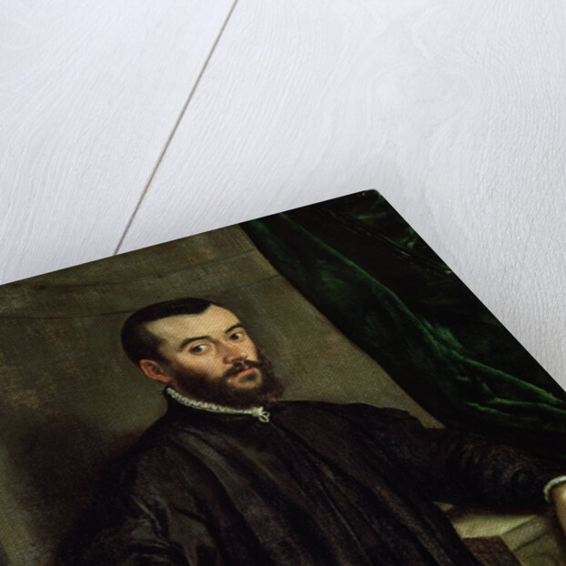 Portrait of the physician Andreas Vesalius by Steven van Calcar